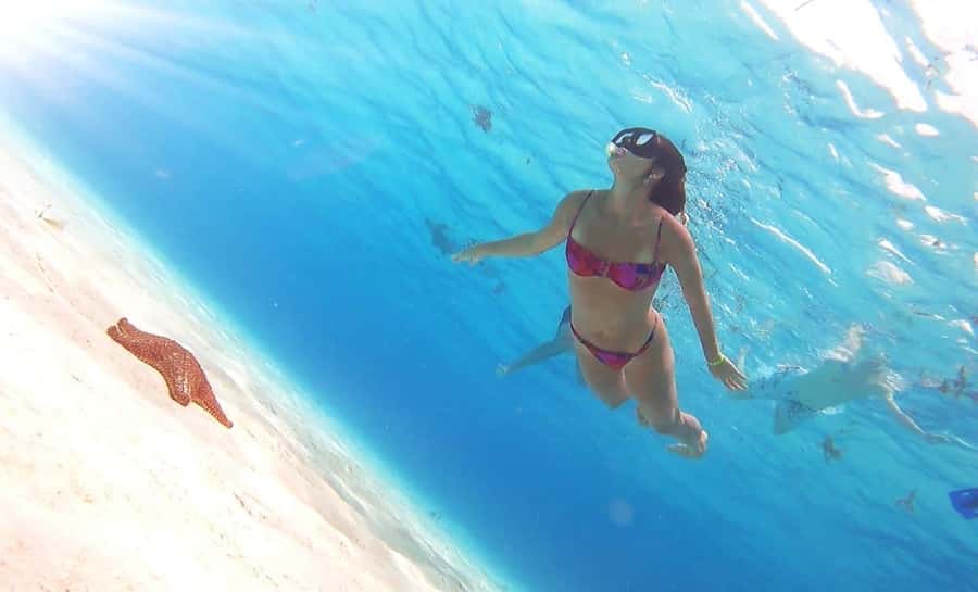 From Cozumel: El Cielo Beach by Catamaran Snorkeling Tour - Meeting the boat at Marina Cozumel ASIPONA