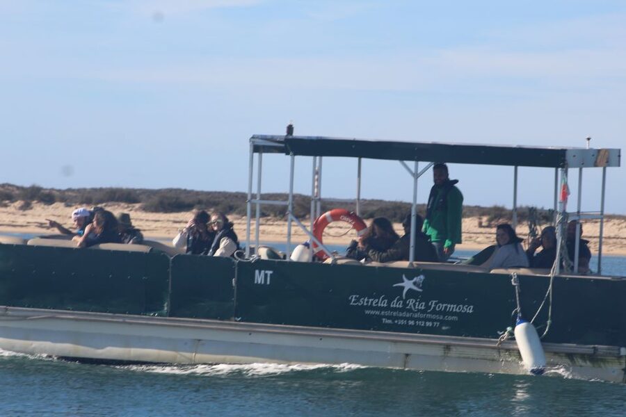 From Faro: 2-Island, 2-Stop Ria Formosa Catamaran Tour - Quick take: what matters most