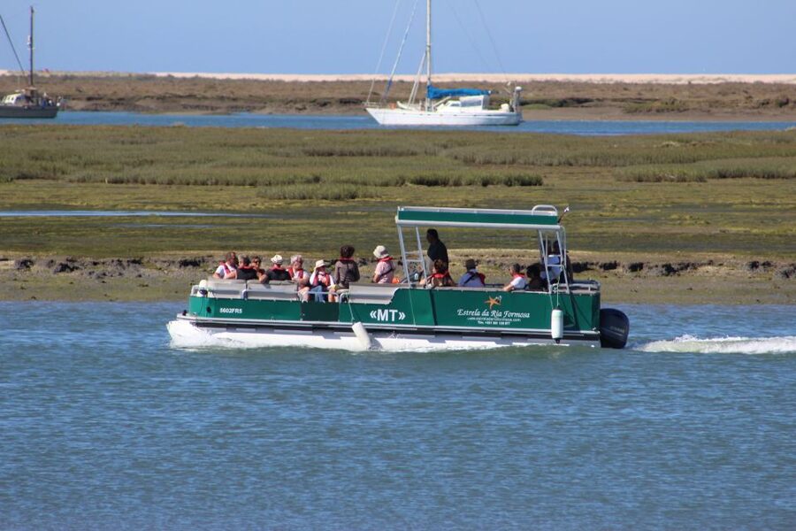 From Faro: 2-Island, 2-Stop Ria Formosa Catamaran Tour - Who will enjoy this Faro boat trip?