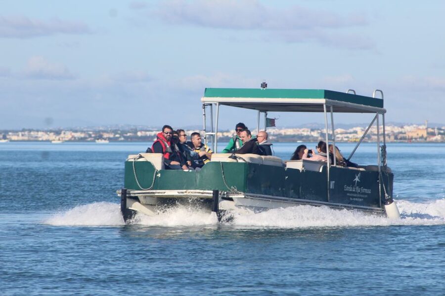 From Faro: 4 Stops, 3 Islands in Ria Formosa Catamaran Tour - Leaving Faro through the Ria Formosa channels