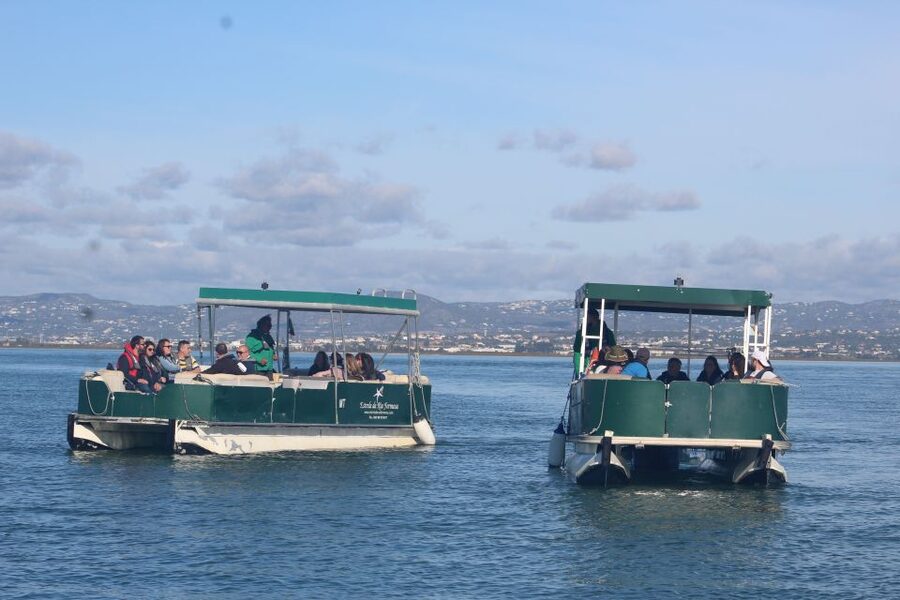 From Faro: 4 Stops, 3 Islands in Ria Formosa Catamaran Tour - Ilha do Farol and the Algarve’s island homes