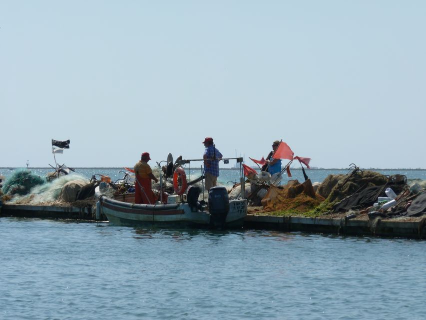From Faro: 4 Stops, 3 Islands in Ria Formosa Catamaran Tour - Is $47 good value?
