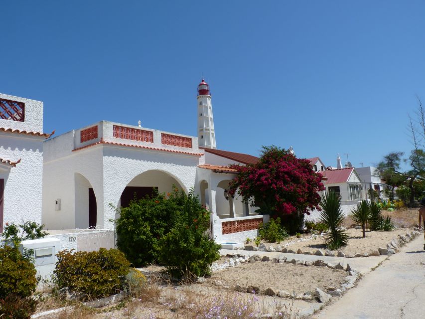 From Faro: 4 Stops, 3 Islands in Ria Formosa Catamaran Tour - Timing, comfort, and what to bring