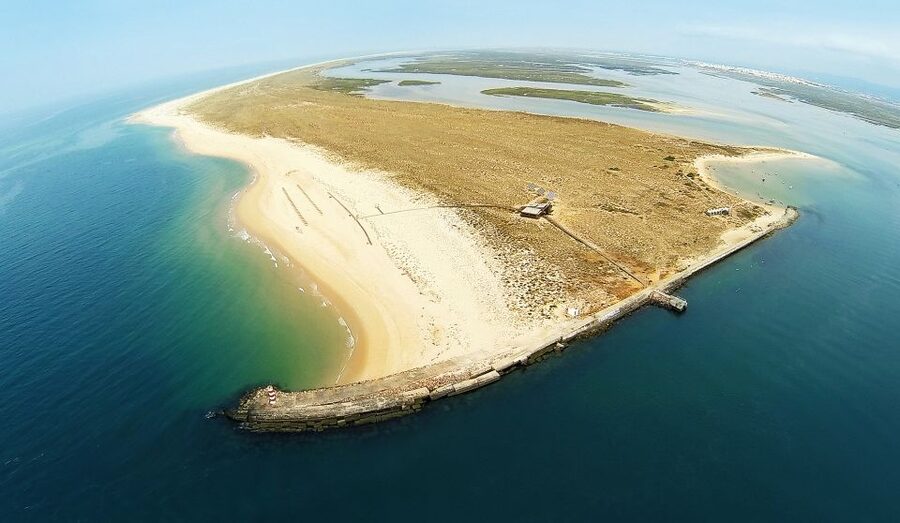 From Faro: Catamaran Boat Trip to Deserta Island with Stop - Price, comfort, and overall value