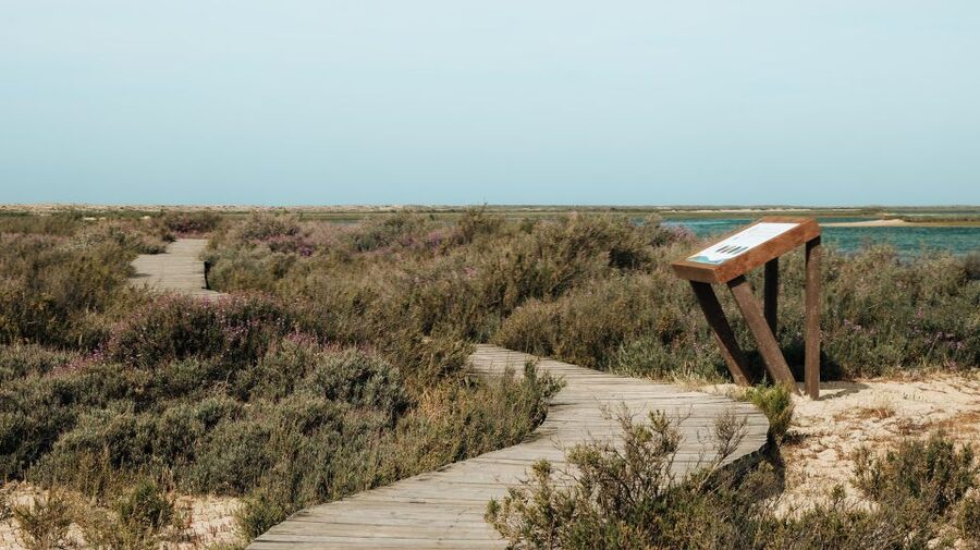 From Faro: Catamaran Boat Trip to Deserta Island with Stop - Should you book it?