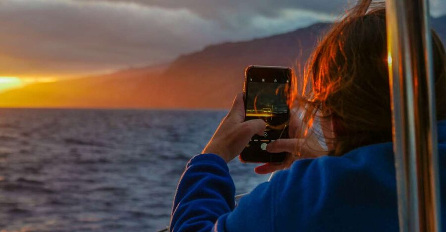From Funchal: Cabo Girao Sunset Cruise on Luxury Catamaran - Whale and dolphin watching without false promises