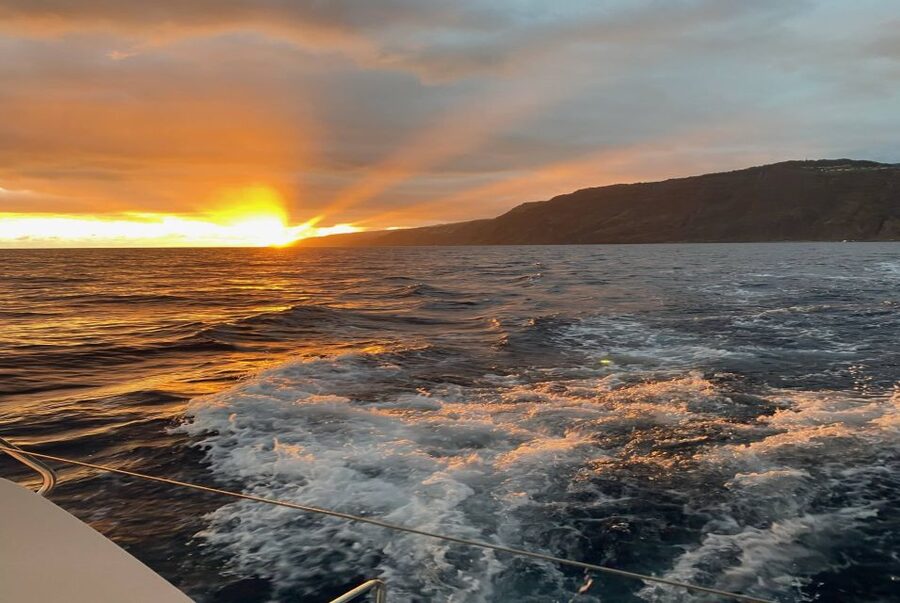 From Funchal: Cabo Girao Sunset Cruise on Luxury Catamaran - The Cabo Girão swim and snorkeling stop