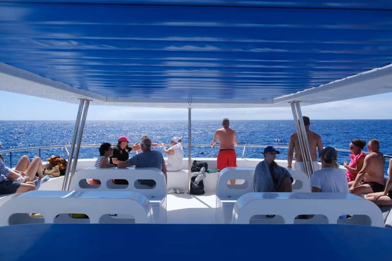 From Funchal: Ecological Catamaran Dolphin Whale Watching - Who will enjoy this cruise most?