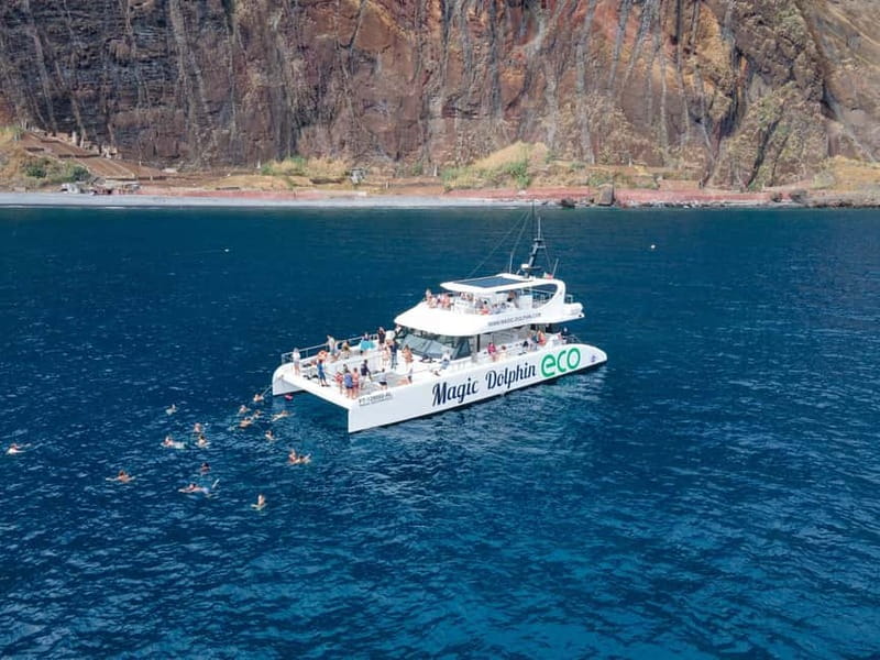 From Funchal: Ecological Catamaran Dolphin Whale Watching - The return route adds a useful Madeira tour
