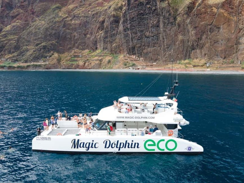 From Funchal: Ecological Catamaran Dolphin Whale Watching - How the hybrid system changes wildlife watching