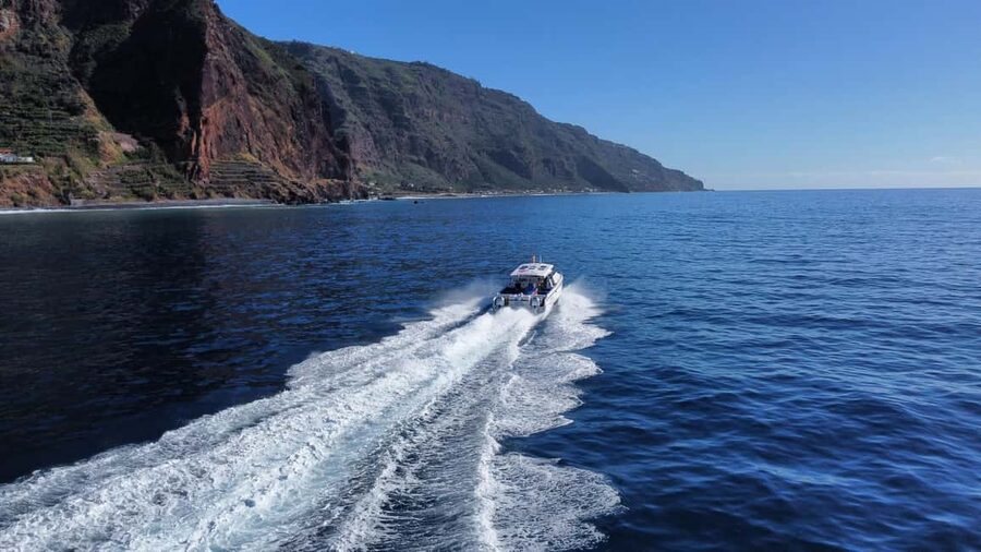 From Funchal: Scenic Coastal Cruise on a Modern Catamaran - Timing, weather, and what to bring