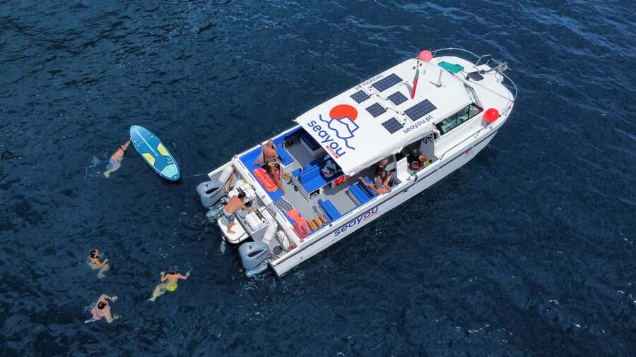 From Funchal: Scenic Coastal Cruise on a Modern Catamaran - Câmara de Lobos from offshore