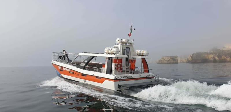 From Lagos: Benagil Caves Catamaran Cruise - The relaxed trip back to Lagos