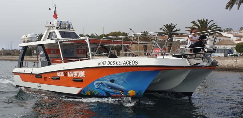 From Lagos: Benagil Caves Catamaran Cruise - Boat comfort, group size, and onboard details