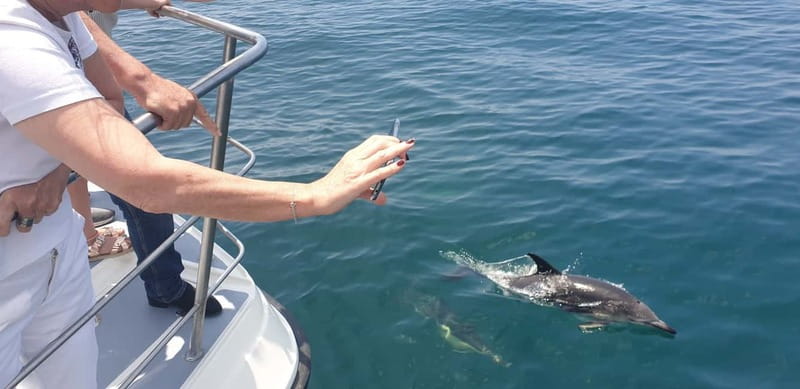 From Lagos: Dolphin Watching Catamaran Cruise - How much value do you get for $47?
