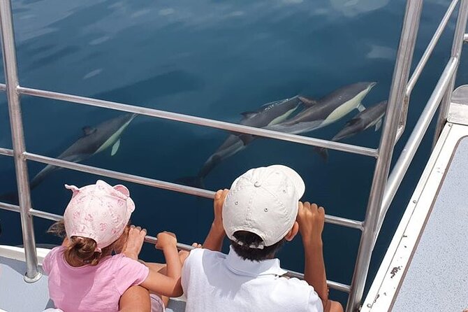 From Lagos: Dolphin Watching Cruise on a Catamaran - Key points before you book