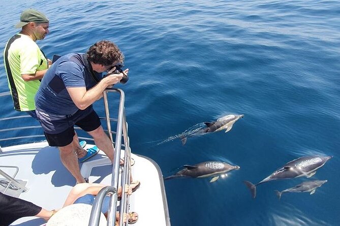 From Lagos: Dolphin Watching Cruise on a Catamaran - Heading west along the Algarve coast