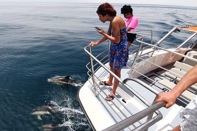 From Lagos: Dolphin Watching Cruise on a Catamaran - Returning along the cliffs and coastal caves