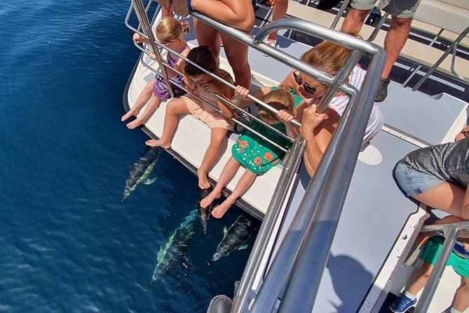 From Lagos: Dolphin Watching Cruise on a Catamaran - What the $48.39 price gets you