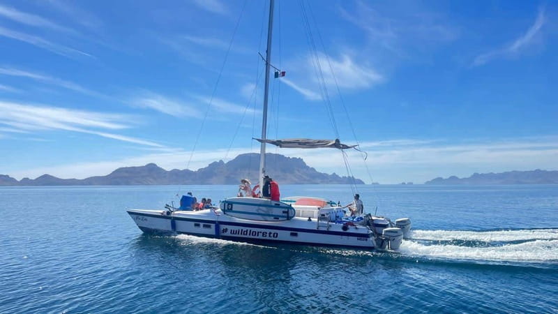 From Loreto: Snorkeling Catamaran Cruise - The island stop and clear-water snorkeling