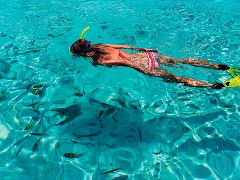 From Loreto: Snorkeling Catamaran Cruise - Wildlife watching on the Sea of Cortez