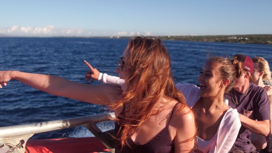 From Maalaea: Whale Watching Catamaran Cruise with Drinks - Hearing whale songs through underwater hydrophones