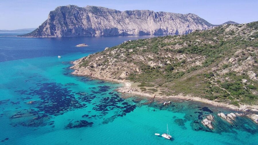 From Olbia: Tavolara or Cala Moresca Catamaran Tour - What Francesca and Fabio add to the day