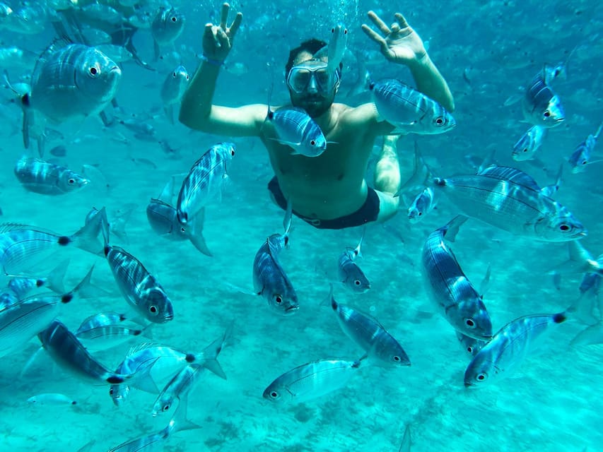 From Palau: La Maddalena Archipelago Catamaran Tour w/ Lunch - How the captain chooses your three stops