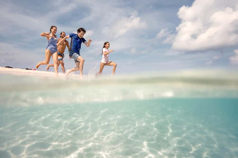 From Port Douglas: Outer Reef Cruise by Luxury Catamaran - A 7:30am start from Port Douglas