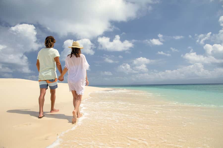 From Port Douglas: Outer Reef Cruise by Luxury Catamaran - A second reef site and a calmer way to see it