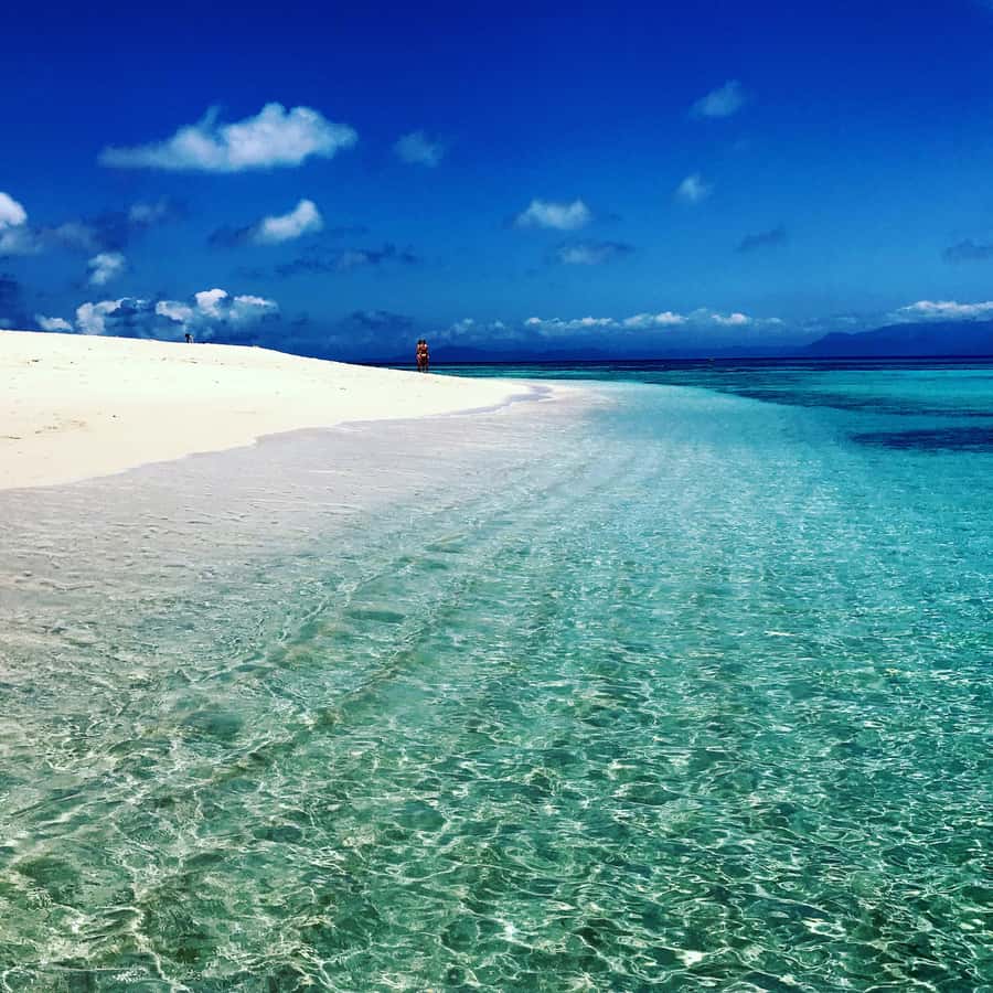 From Port Douglas: Outer Reef Cruise by Luxury Catamaran - How the $240 price holds up