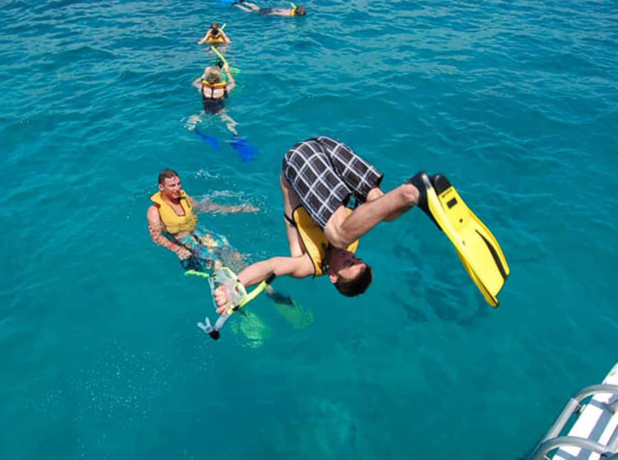 From Puerto Aventuras: Share Catamaran Tour - Key points at a glance