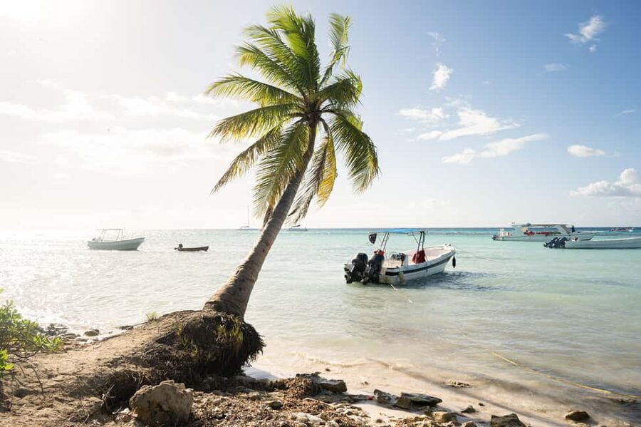 From Punta Cana: Catamaran Tour to Saona Island with Open Bar and Buffet - Key points to know before booking