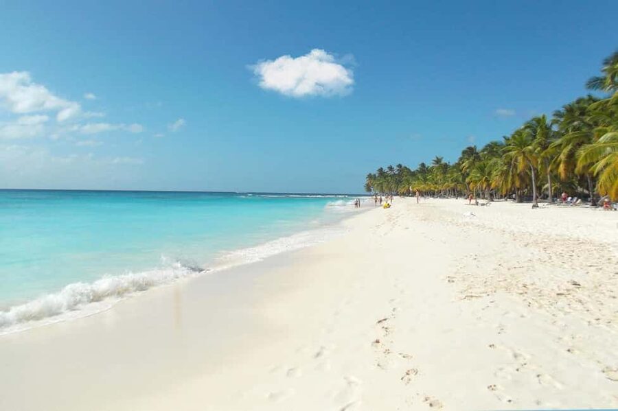 From Punta Cana: Catamaran Tour to Saona Island with Open Bar and Buffet - Dominican flavors at the buffet