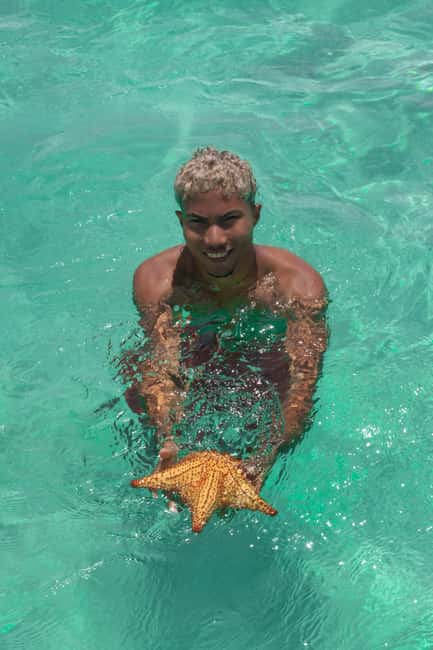 From Punta Cana: Catamaran Tour to Saona Island with Open Bar and Buffet - Who will enjoy this day most