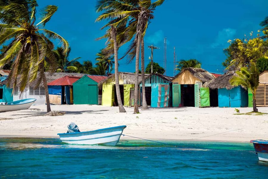 From Punta Cana: Catamaran Tour to Saona Island with Open Bar and Buffet - Should you book this Saona Island tour?