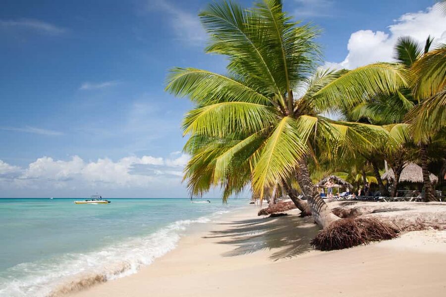 From Punta Cana: Catamaran Tour to Saona Island with Open Bar and Buffet - The catamaran ride sets the mood