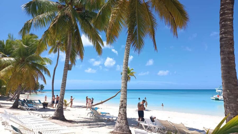 From Punta Cana: Saona and Mano Juan Day Trip by Speed Boat - Playa Abanico: Palm Trees With a Caveat