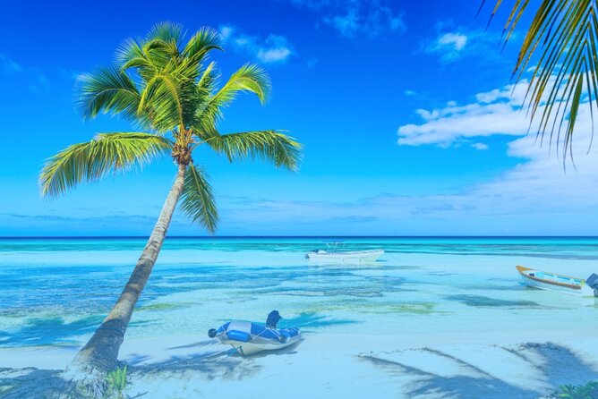 From Punta Cana: Saona Island Full Day For Small Group Catamaran - Arriving on Saona Island