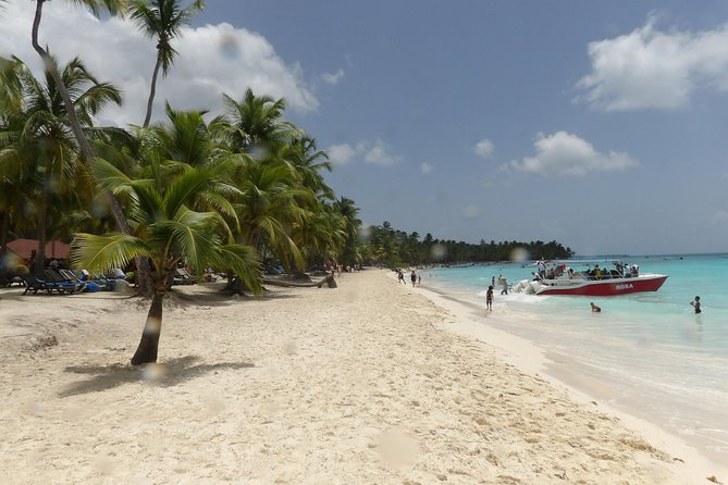 From Punta Cana: Saona Island Full Day For Small Group Catamaran - Guide quality and communication