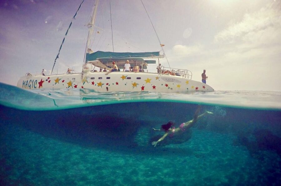 From Roses: Catamaran Cruise to Cap de Creus - Sailing past pine-covered coves and rocky cliffs