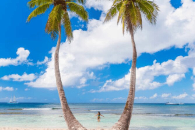 From Santo Domingo Saona Island Food And Drink Catamaran Vip - Is $95 a fair price?