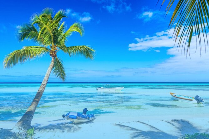 From Santo Domingo: Saona Island For Small Group Catamaran - Bayahibe and the first boat ride
