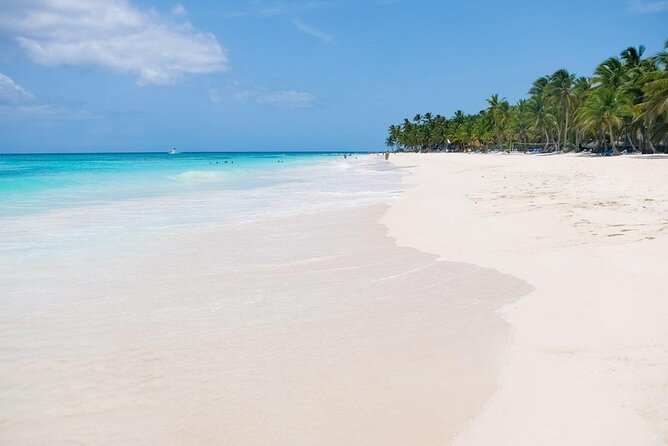 From Santo Domingo: Saona Island For Small Group Catamaran - A sea star sanctuary in the Caribbean