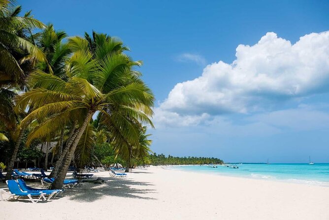 From Santo Domingo: Saona Island For Small Group Catamaran - Nearly three hours on Saona Island