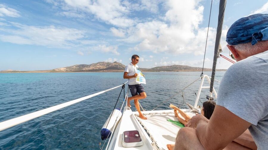 From Stintino: Catamaran tour to Asinara Island - Who should book this day on the water?