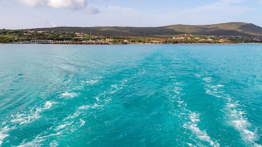 From Stintino: Catamaran tour to Asinara Island - Lunch with Sardinian flavors on board
