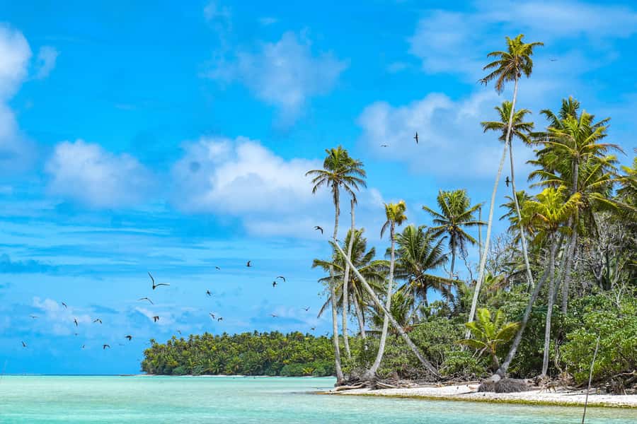 From Tahiti: Tetiaroa Island Tour by Sailing Catamaran - Key things to know before booking
