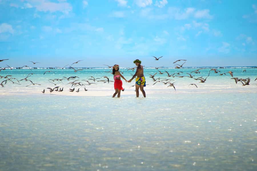 From Tahiti: Tetiaroa Island Tour by Sailing Catamaran - Is $227 a Fair Price?