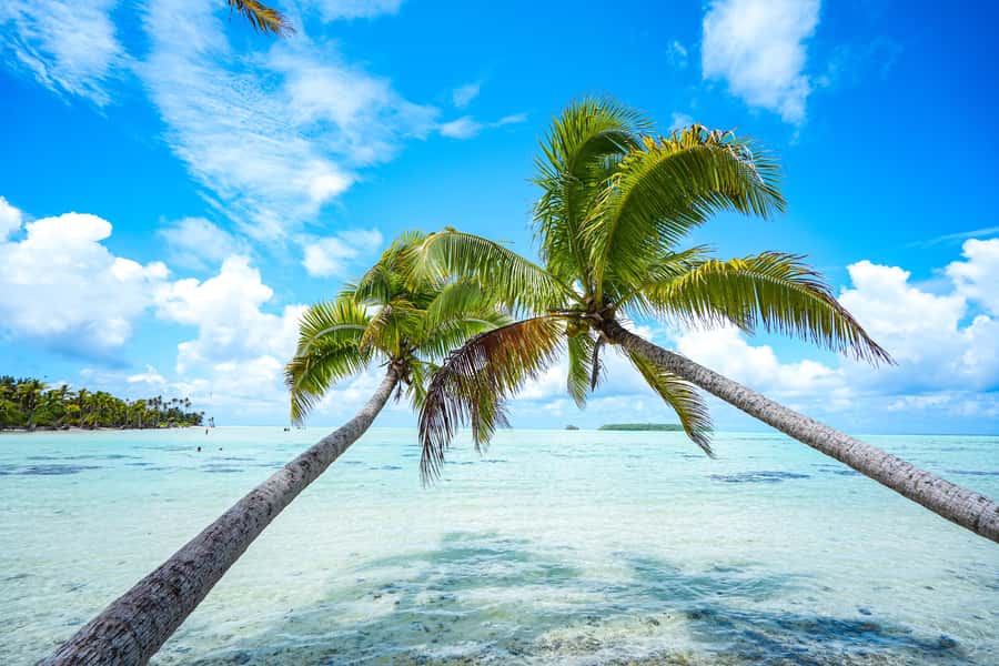 From Tahiti: Tetiaroa Island Tour by Sailing Catamaran - Why Tetiaroa Makes This Day Special